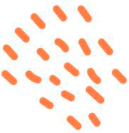 Customer Success Partners